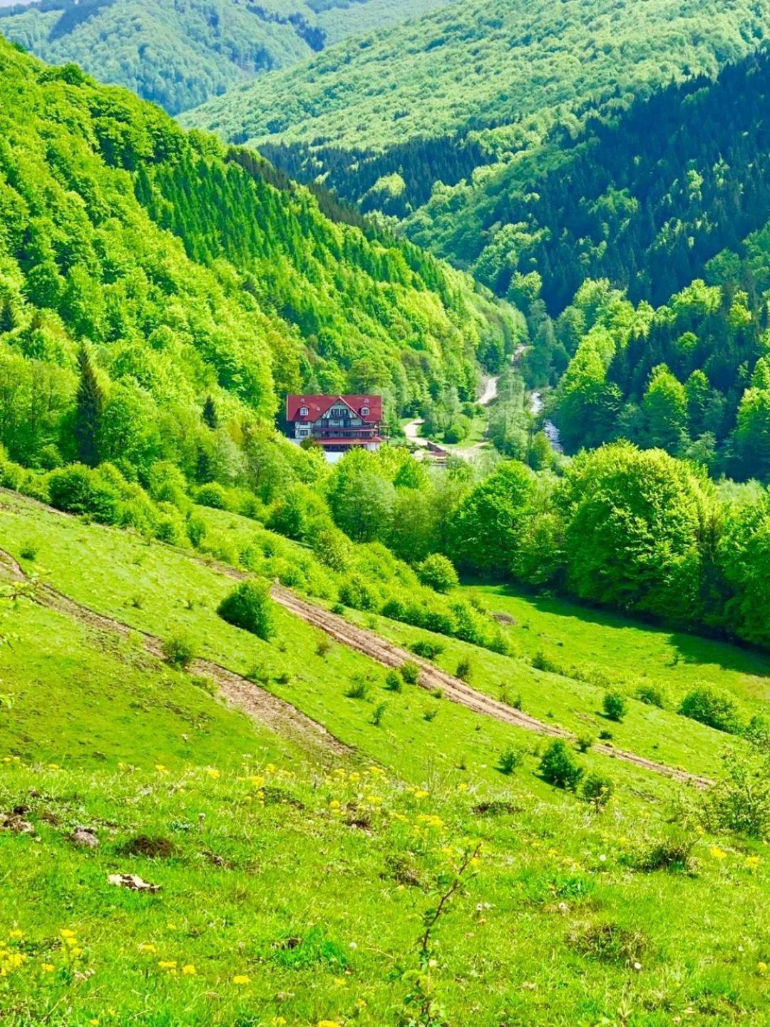 Cabana Izvoarele Doftanei Trăisteni Exterior photo