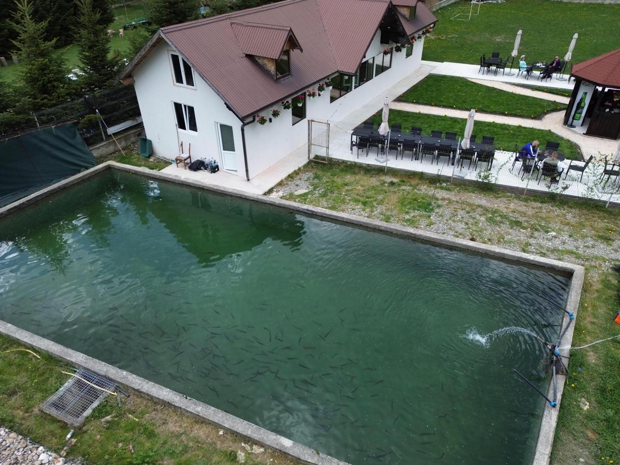 Cabana Izvoarele Doftanei Trăisteni Exterior photo